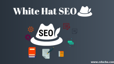 how-to-boost-your-search-rankings-using-white-hat