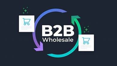 b2b-wholesale-platforms:-unlocking-new-avenues-for-business-growth