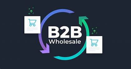 b2b-wholesale-platforms:-unlocking-new-avenues-for-business-growth