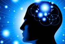 discover-the-influential-elements