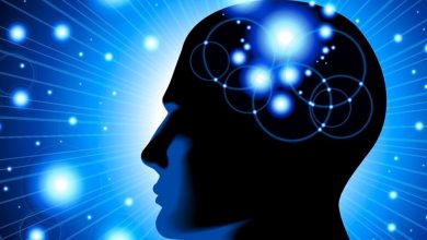 discover-the-influential-elements