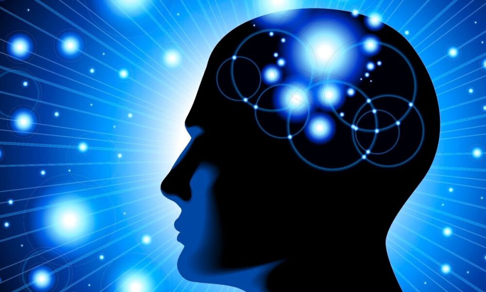discover-the-influential-elements